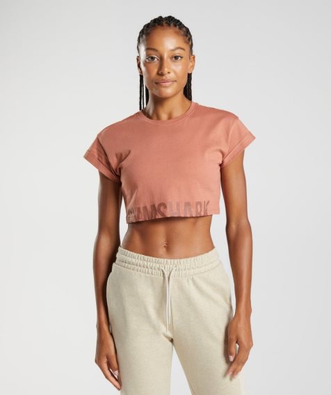 Women's Gymshark Fraction Cropped Tops Brown | CA 3A5D17